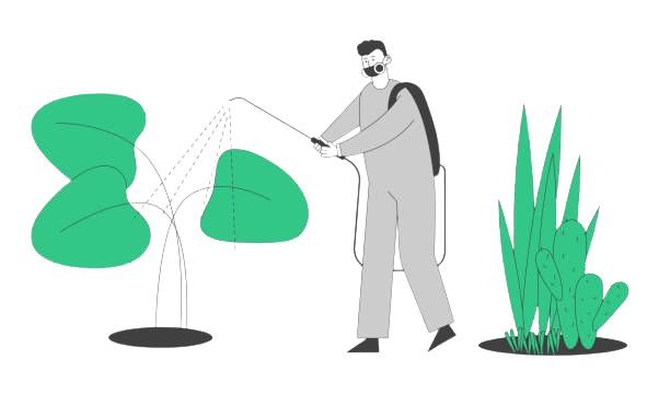 Man watering plants
